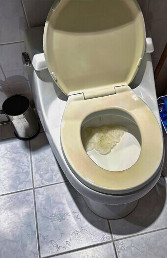 https://blockeddrainsleeming.com.au/uploads/2025/07/blocked-toilet-27293.jpg