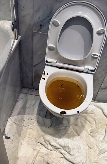 https://blockeddrainsleeming.com.au/uploads/2025/07/blocked-toilet-27793.jpg