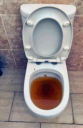 https://blockeddrainsleeming.com.au/uploads/2025/07/blocked-toilet-76873.jpg