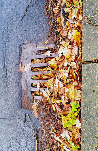 https://blockeddrainsleeming.com.au/uploads/2025/07/stormwater-drains-48051.jpg
